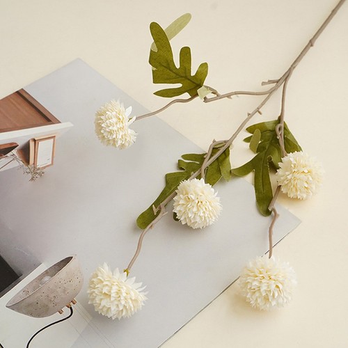 Silk dandelion floral - dandelion,