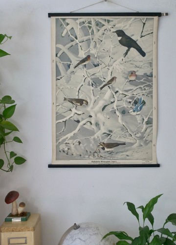 Vintage school wall map - school,
