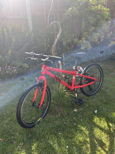 Kids frog bicyle - frog, red
