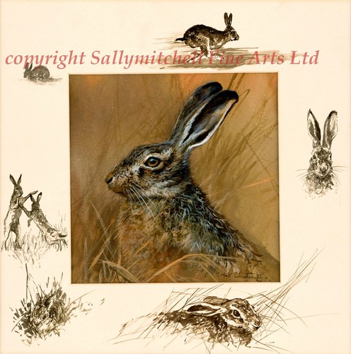 The hare lovely - hare, fine