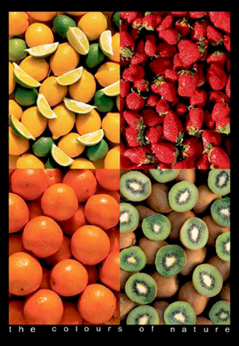 Five fruit bins the colours - fruit,