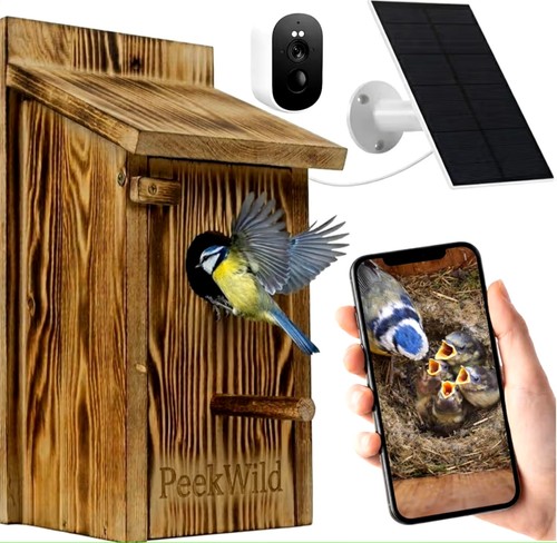 Smart bird box with - bird, 5mp
