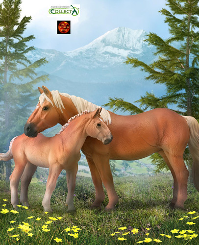 Noriker austrian draft horse - austrian,