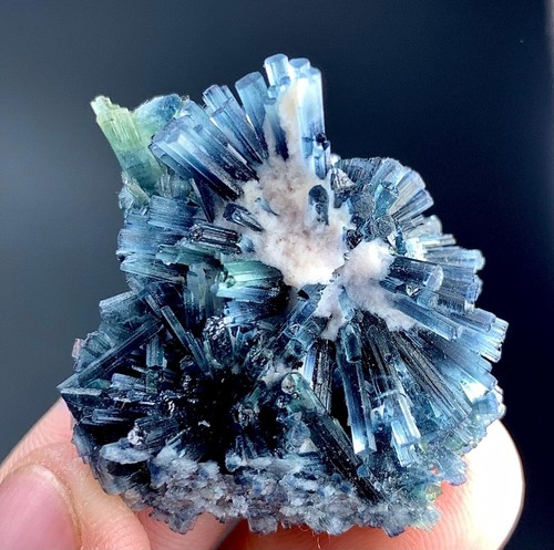 Carat blue bunch - carat,