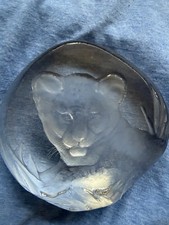 Matts Jonasson Lion Cub