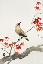 Ohara Koson Japanese Waxwing