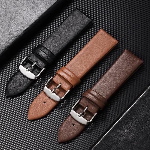 Watch strap for - skagen, 22mm