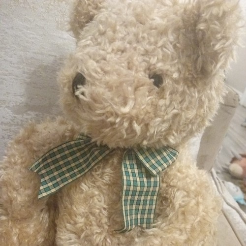 House fraser bear - house, of