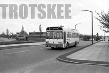 35mm Black and White Negative