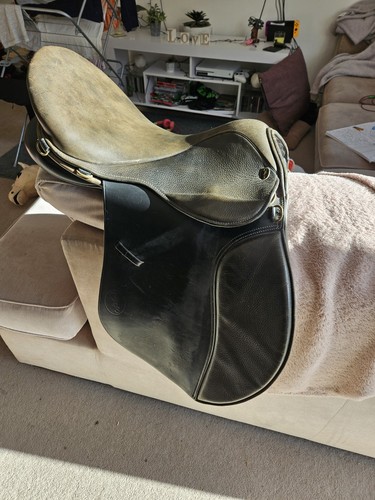 Gfs saddle medium to - 17.",