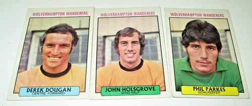 Wolverhampton wanderers 3 - wolverhampton,
