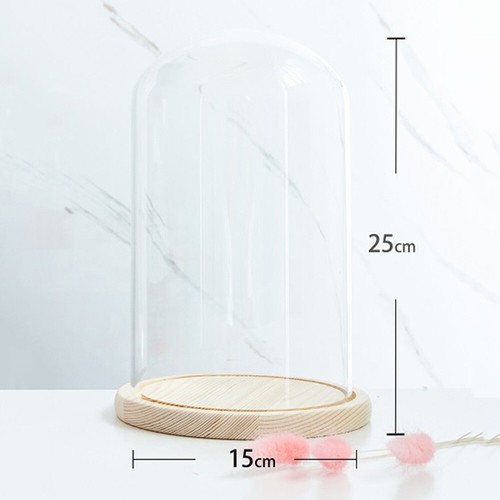 Christmas glass dome - glass, display