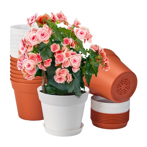 Inch plastic flower - 6, pots