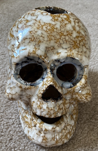 Ceramic porcelain skull - ceramic,