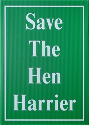 Jeremy deller signed - jeremy,