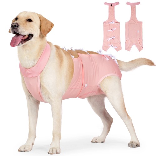 Dog surgery recovery - surgery, suit