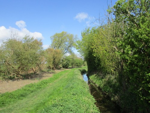 Photo 6x4 oldways lane - photo,