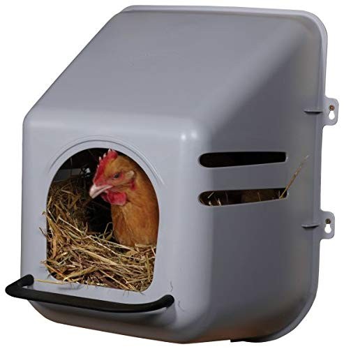 Pack large wall mount egg - mount,
