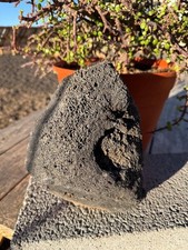 One Large, Black Lava Rock –