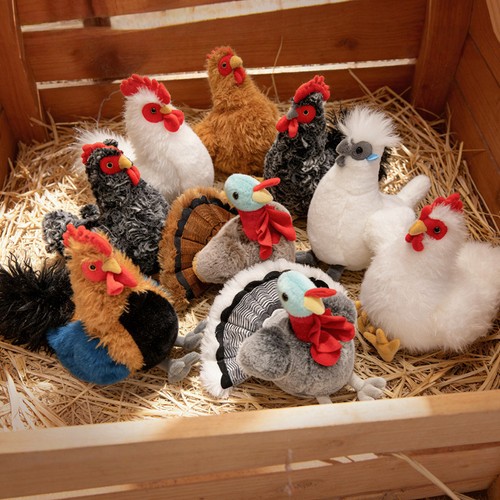 Chubby rooster hen - chubby, black-bone