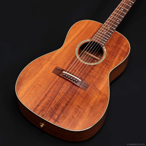 Takamine mij ptu431k - mij, n