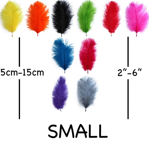 Small ostrich feathers 10 - ostrich,