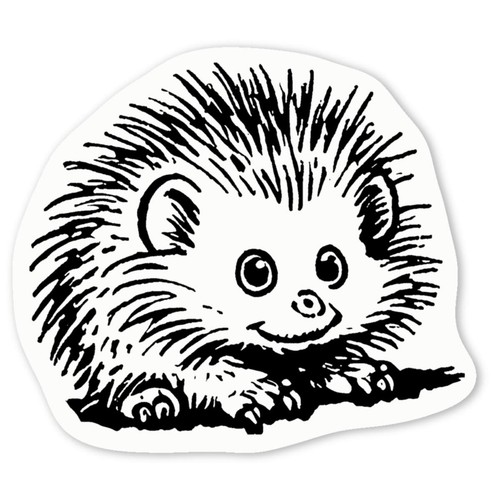 African pygmy hedgehog white - 'african, hedgehog'