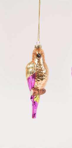Sass belle colourful parrot - belle,