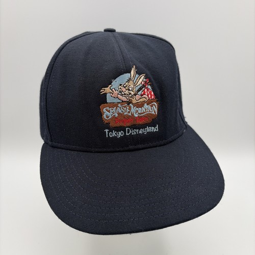 Splash mountain brer rabbit - splash,