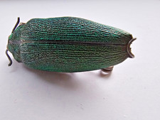 Egyptian revival Cicada /