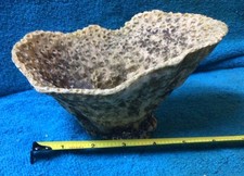 Artificial Resin Coral