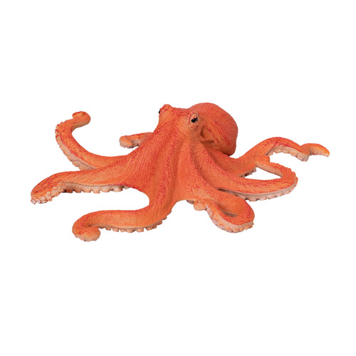Realistic octopus toy - octopus,