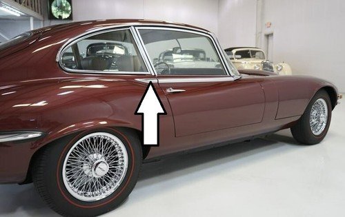 Jaguar type chrome flash - jaguar,
