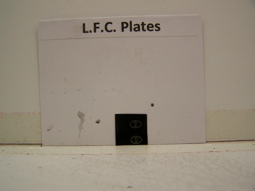 Lfc loco shed plate - plate, x2