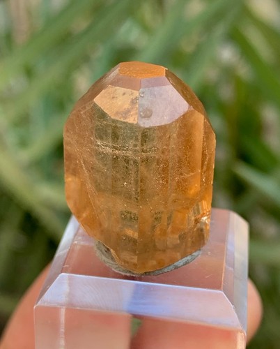 Natural rich color - 10,