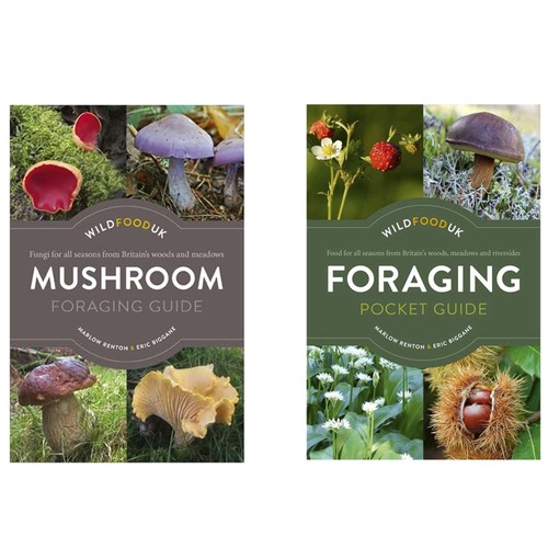 Wild food foraging mushroom - food, &