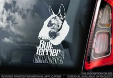 English Bull Terrier Car
