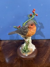 Vintage Robin Border Fine Art