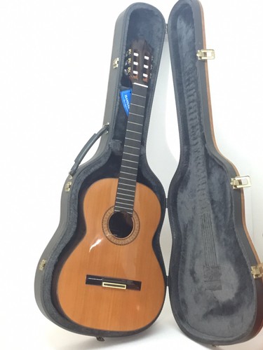 Private p11 concert - private,