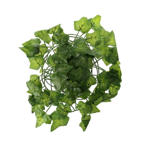 Reptile climbing vines with - vines,