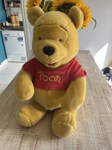 Large winnie the - large,