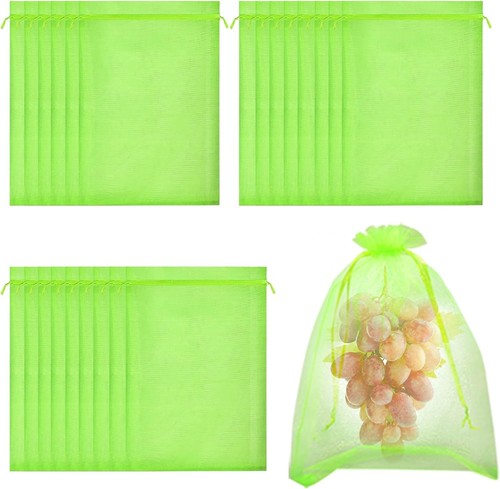 Fruit protection bags garden - fruit,