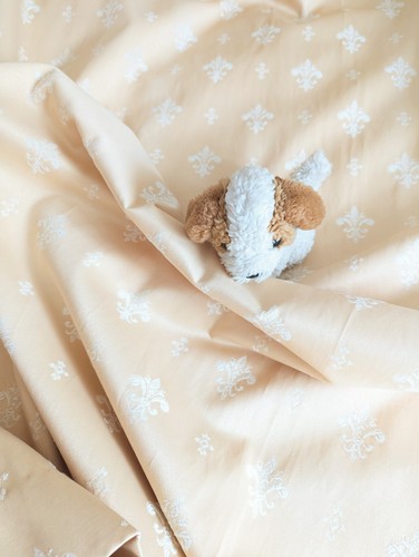 Pale apricot long lined satin