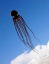 26ft 8m 3D Huge Octopus Power