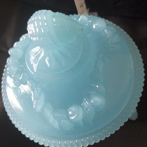 Argonaut shell glass lidded - glass,