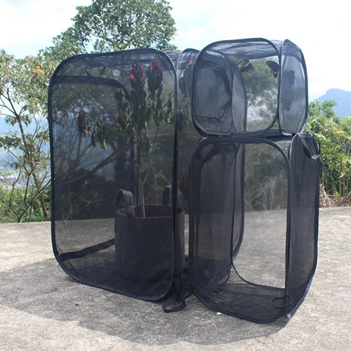 Foldable insect butterfly - foldable,