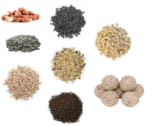 Garden bird food feed peanuts - food,