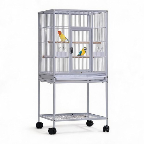 Large bird cages parrot - parrot, cage
