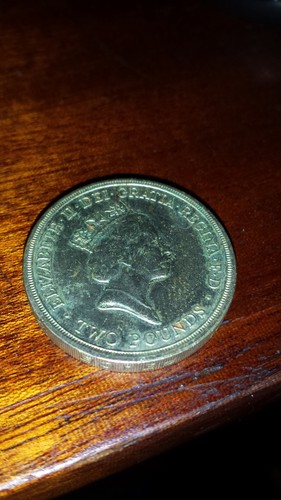 Pound coin dove - dove, of