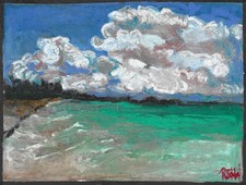 Pirates Cove Signed 8x10